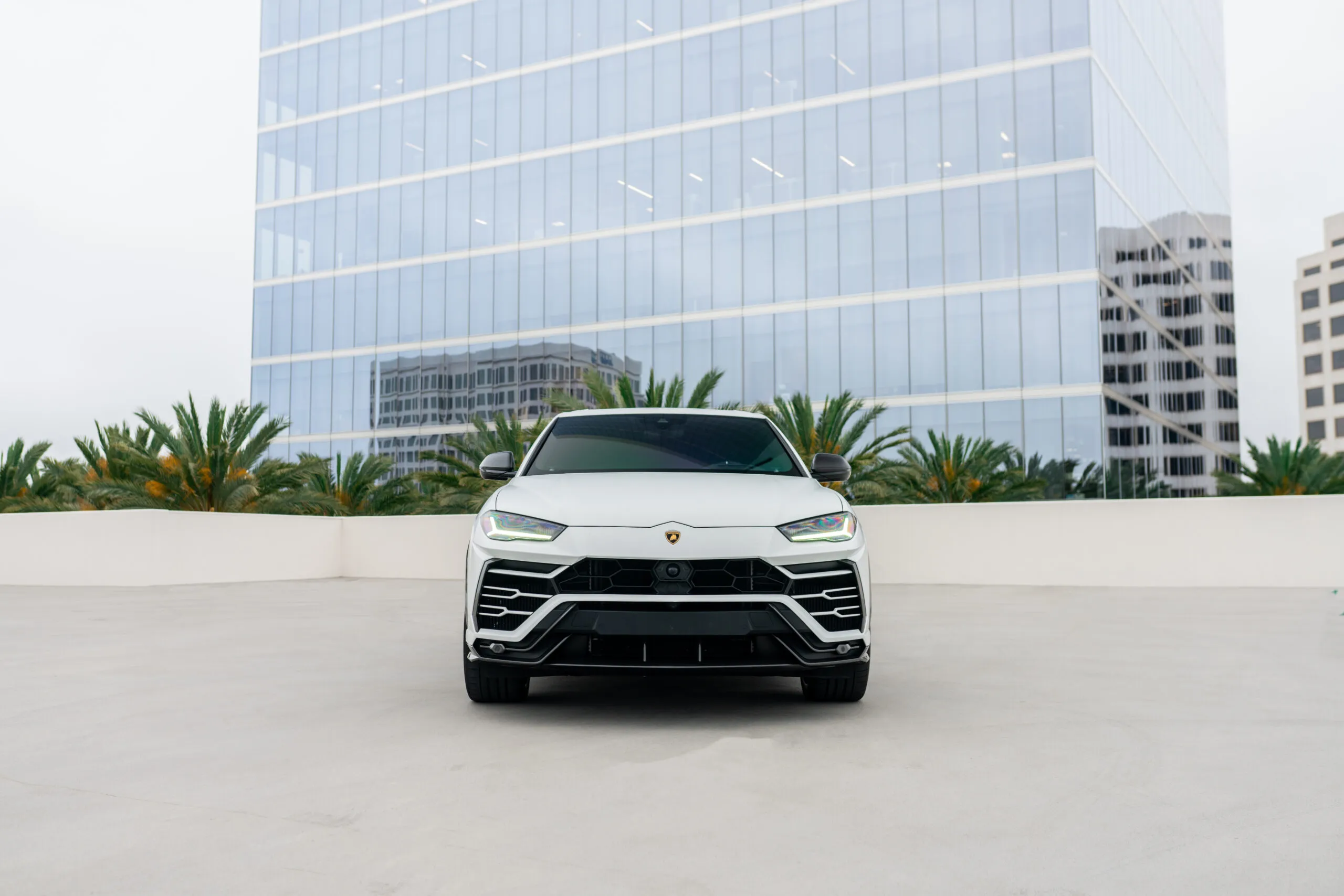 Matte White Lamborghini Urus rental | Cache Luxe