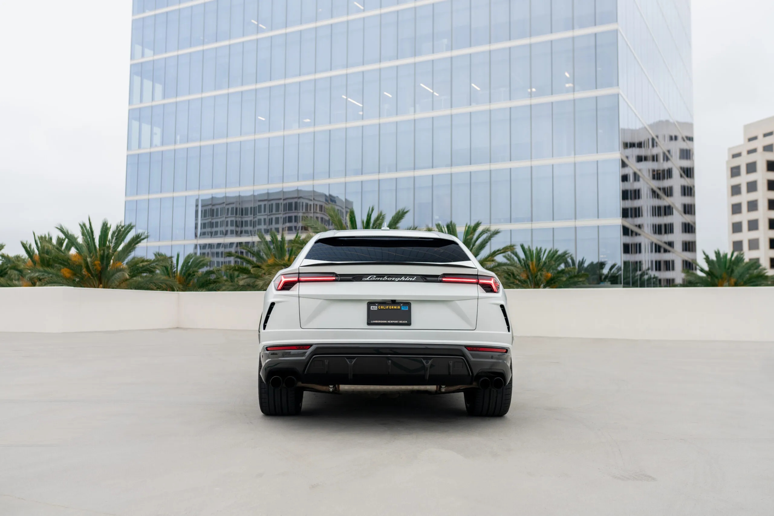 Matte White Lamborghini Urus rental | Cache Luxe