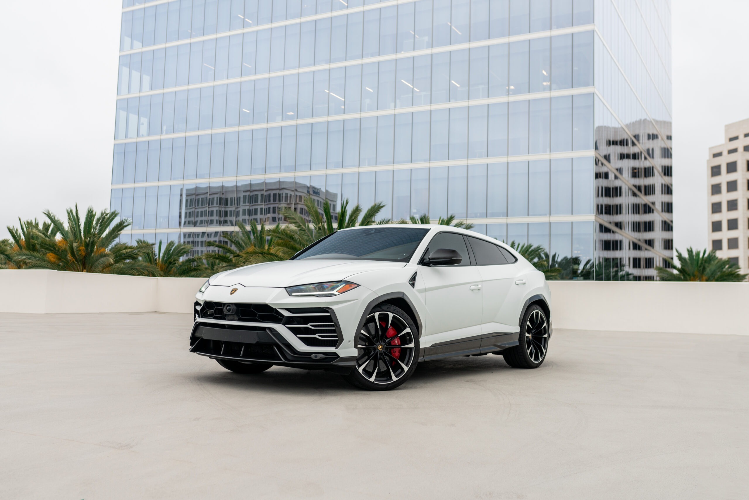 Matte White Lamborghini Urus rental | Cache Luxe